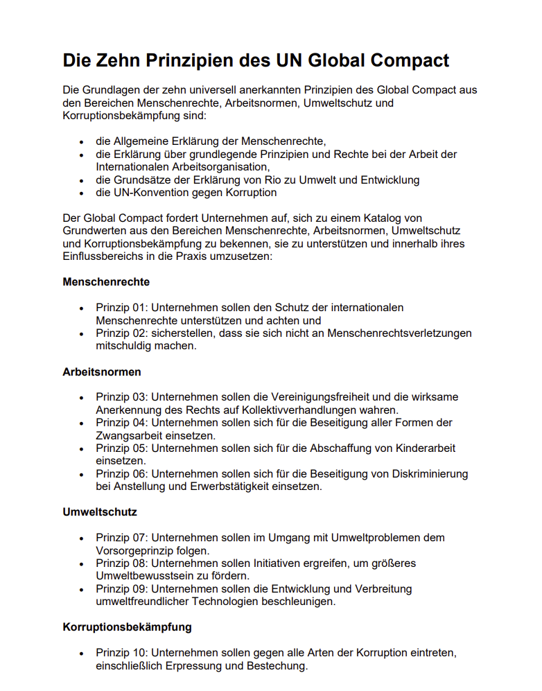 Brief UN Global Compact