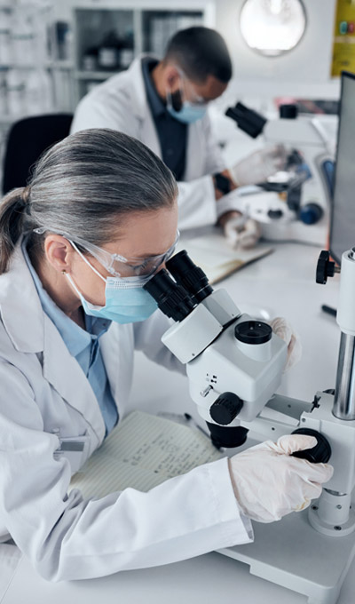 Zwei Mitarbeiter in Laborkitteln arbeiten mit Mikroskopen