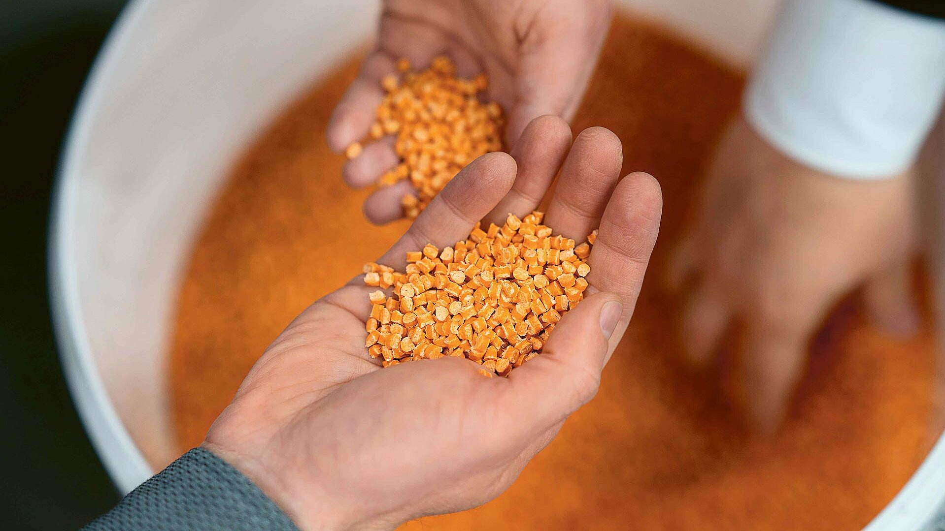 hands holding or grabbing orange plastic pellets from a bucket